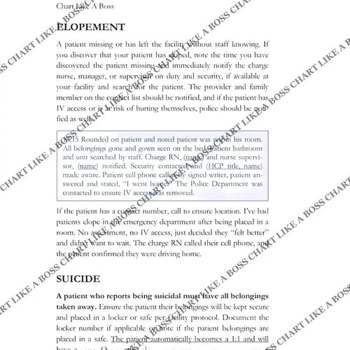 Chart Like A Boss: A Documentation Guide for Nurses
