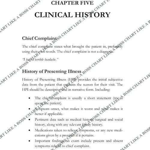 Chart Like A Boss: A Documentation Guide for Nurses